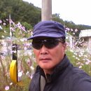 용비어천가 이미지