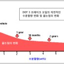 브레이크 오일(Brake Fluid)의 규격 이미지