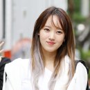 허브세이