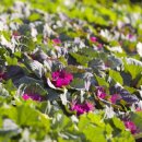 용인농촌테마파크 다목적교육관 이미지