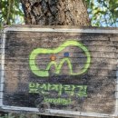 앞산자락길 이미지