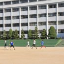 운동장 - 포항시 남구 새천년대로434번길 9 | 운동장