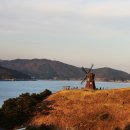바람의 언덕 이미지