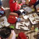 파란새싹어린이집 이미지