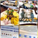 * 교단 모임과 건강검진 준비 - 조태성 이미지