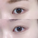 플로리아 | 공덕 속눈썹펌 잘하는 곳 플로리아뷰티 솔직후기