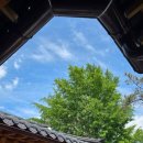 펜션궁 | 부여펜션 찾는다면 한옥 감성 가득한 하늘채궁스테이 후기 🏡✨