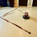 똥싼 강아지 이미지