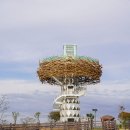 침실습지 화장실 이미지