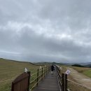 서산 한우목장 웰빙산책로 이미지