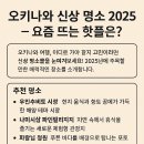 오키나와 신상 명소 2025 – 요즘 뜨는 핫플은?