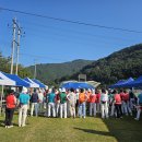 싱그러운청도로(가을) 이미지