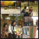 용산초등학교 앞 이미지