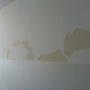 복도 도색 하자 (박리현상) 보수 요청... 이미지