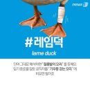 ﻿절름발이 오리, Lame duck 이미지