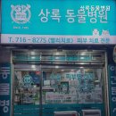 상록 동물병원 네이버블로그