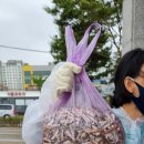 우항공원 이미지