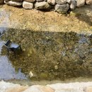 참새미골 이미지