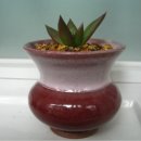 동운농장 이미지