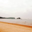 꽃향기 바다내음 이미지