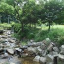 금당계곡 펜션 이미지