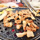 지하철 해안역 | 대구 뒷고기 맛집 해안역 참숯 뒷고기 방촌동 고기