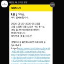 양양 신상 호텔 세인트 더 스위트 양양 스몰 스위트 더블 노오션뷰 내돈내산 찐 추천 후기