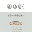 더쿠미