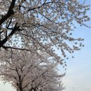 영강체육공원길 이미지