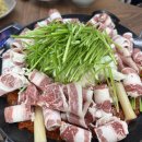 먹빵쭈꾸미 운정점