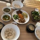 장동감나무보리밥 이미지