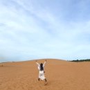 순이농장 | 나트랑 자유여행 무이네 사막투어 현지업체 (Tay nguyen) 내돈내산 후기