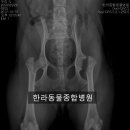 두리종합동물병원 이미지