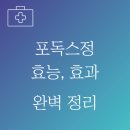 포독스1 이미지