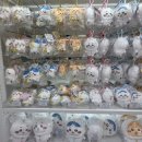 주물럭마켓 | 성수 나가노마켓 팝업스토어 아니고 정식매장! (+주말 방문후기 예약X )