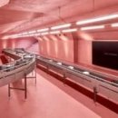 코리아중년나이트 이미지