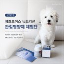 [강아지 관절 영양제 추천] 베츠초이스 뉴트리션 제이플러스 아기강아지 슬개골 예방 솔직후기