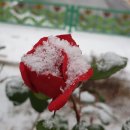 상촌중학교 이미지