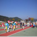 화천 용화축제 및 해바라기밭 출사 이미지