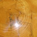 개인약수 이미지