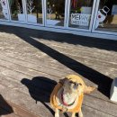 팔봉수피아 이미지