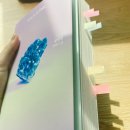 박화수 | [책읽기] 시선으로부터, - 정세랑