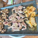 도토리짐(319) 이미지