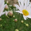 한누리농장 이미지