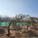 낙수농장 이미지