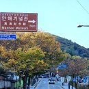 식사+비엔나커피, 단풍이 물들어가는 남한산성에서의 하루 1탄 이미지