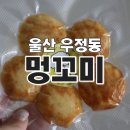 멍꼬미 이미지