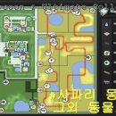 동물포