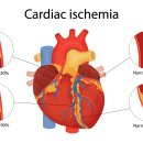 로엘심장혈관흉부외과의원 이미지