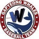 가평야구장 이미지